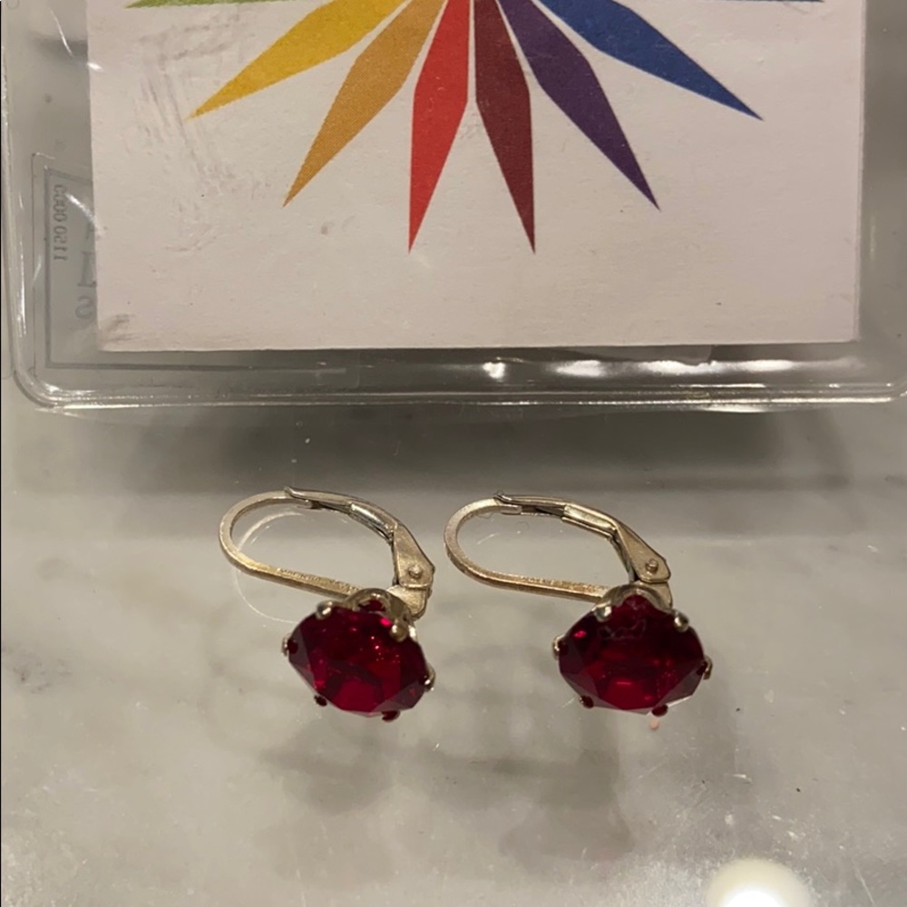 Alex and Ani Color Therapy earrings
